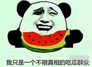 吃瓜的表情什么意思,揭秘网络社交中的趣味与内涵