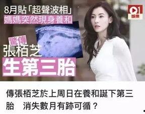 娱乐圈吃瓜实锤是谁的小说,吃瓜实锤背后的真相揭秘